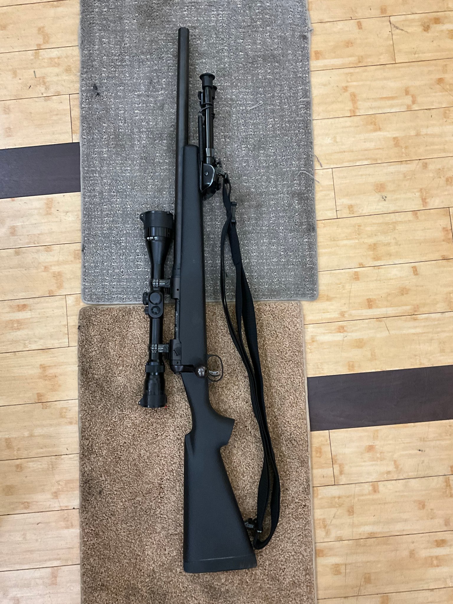 Savage Arms Model 10