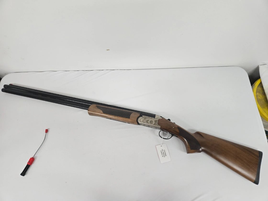 Legacy Sports International Pointer Acrius Over/under