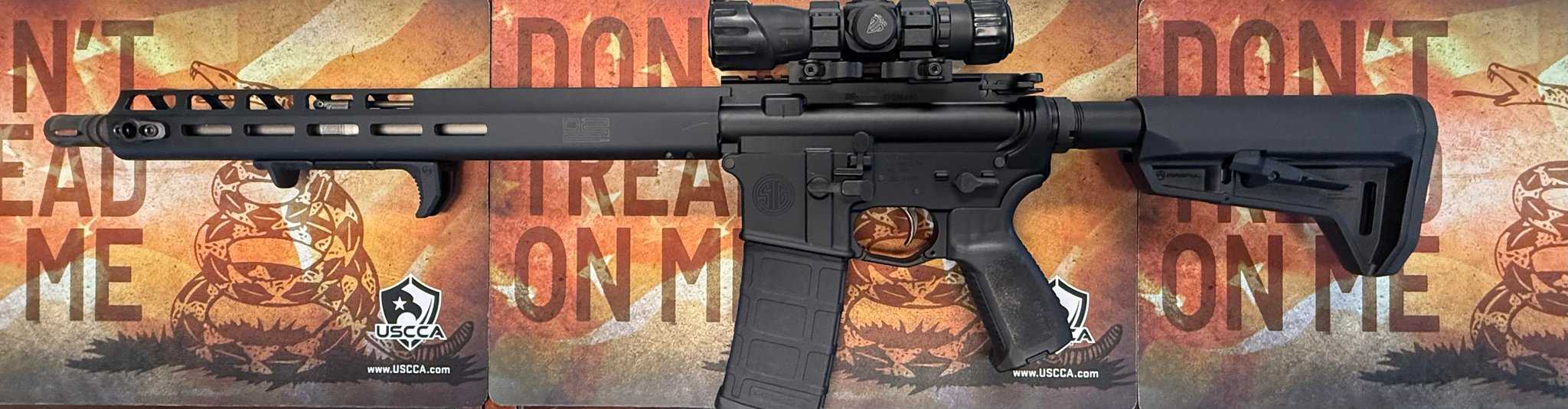 Semi Auto Sig Sauer