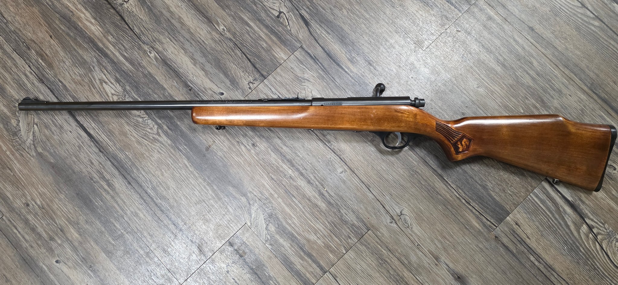 Marlin Glenfield 25