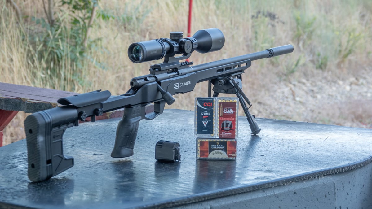 Savage B17 Precision