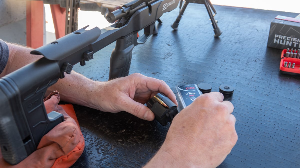 Savage B17 Precision