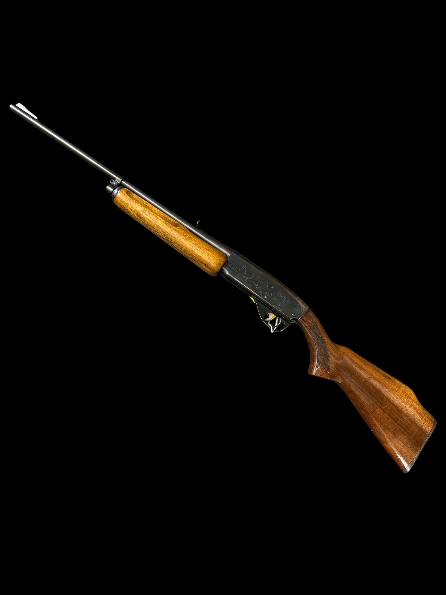 Pump Action Savage Arms
