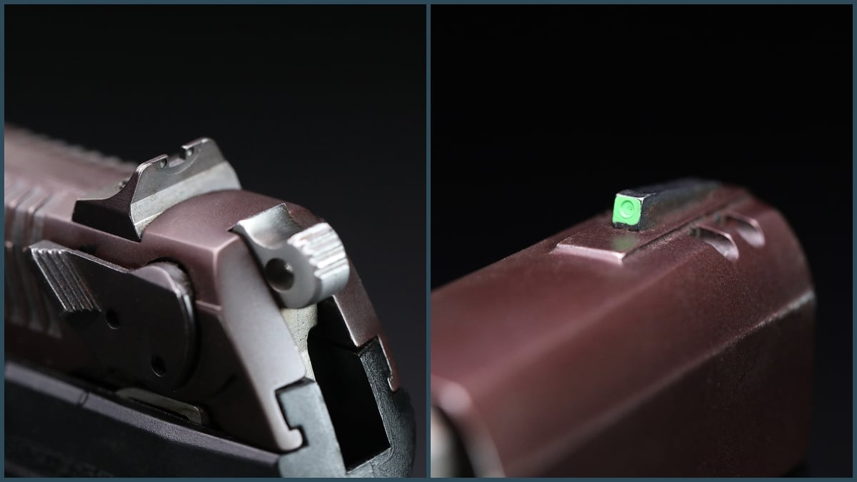 Ruger P95 sights