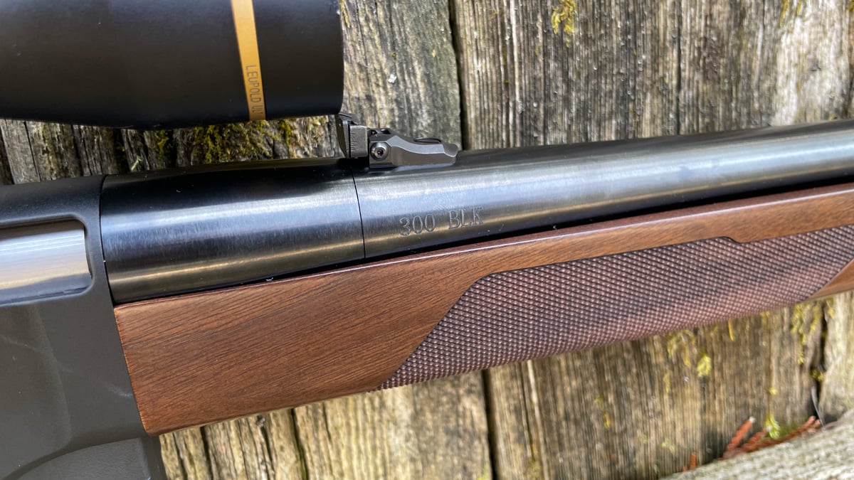 rear sight on LASR