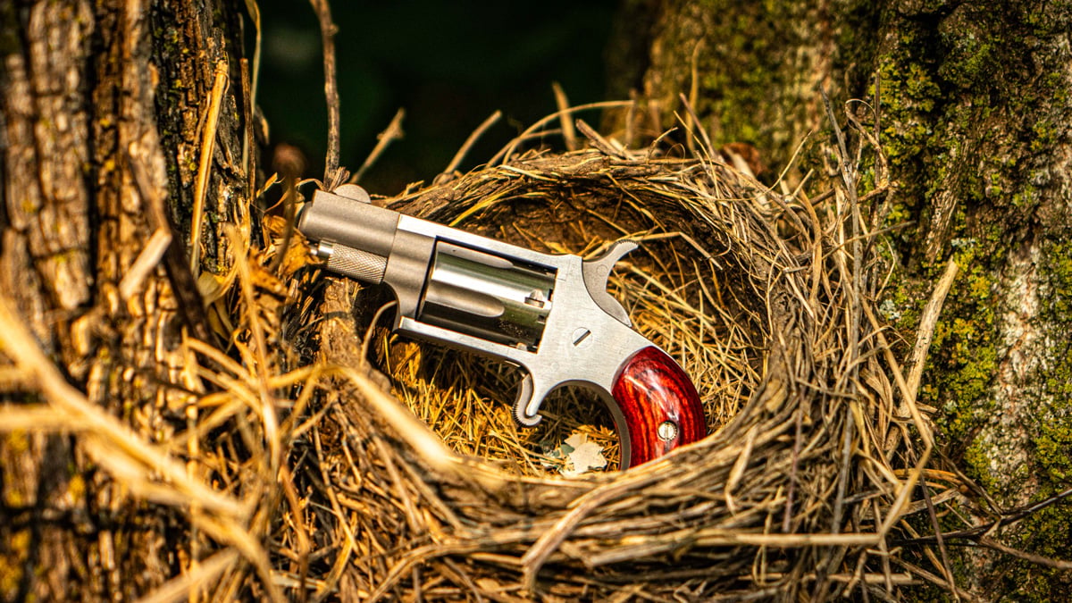 North American Arms .22 LR Buckle Revolver