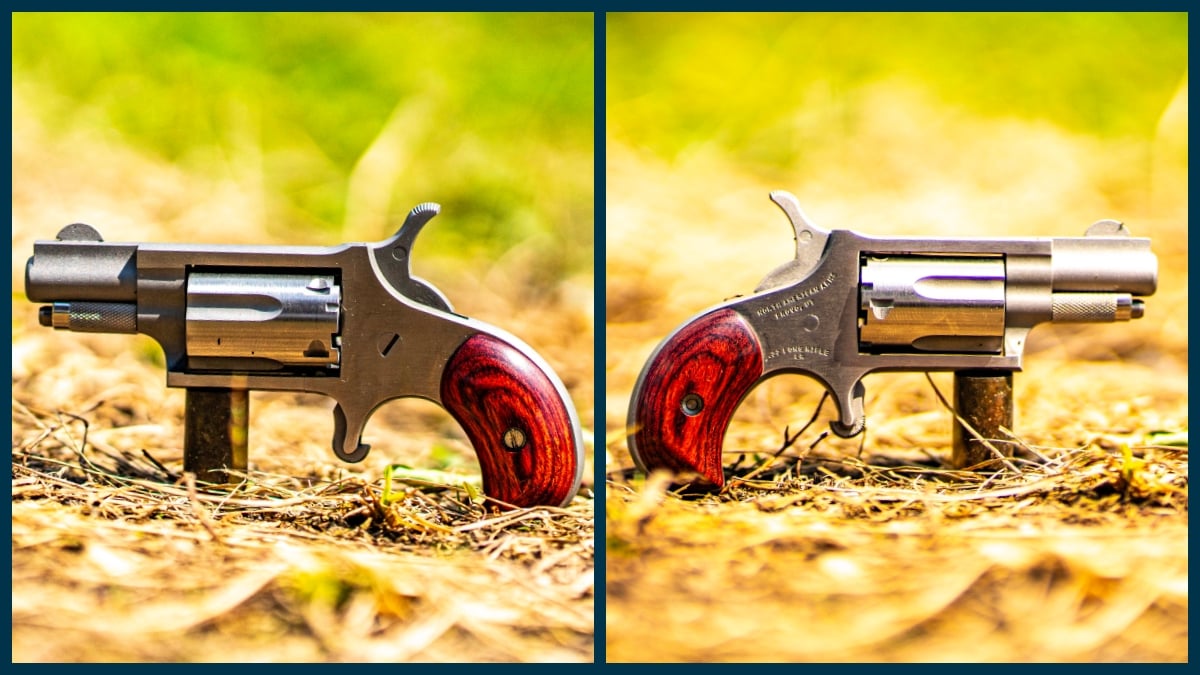 North American Arms .22 LR Buckle Revolver