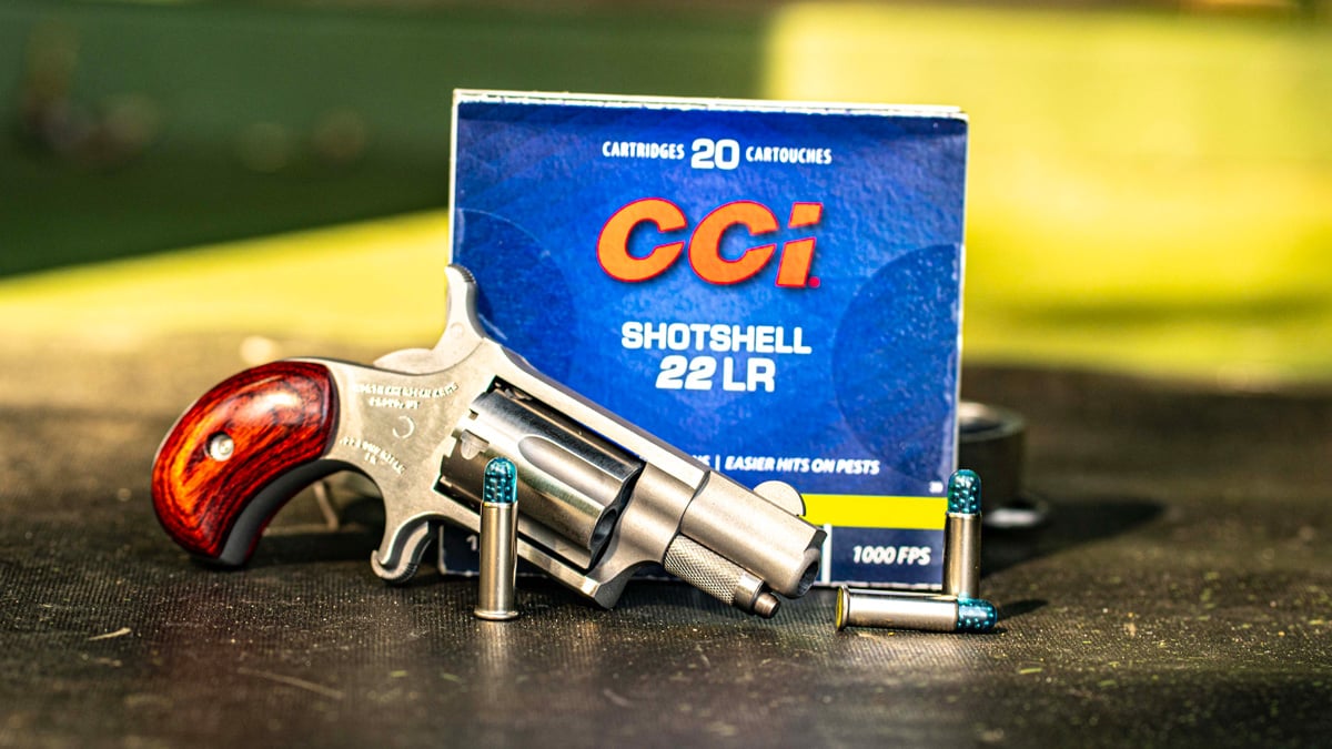 North American Arms .22 LR Buckle Revolver