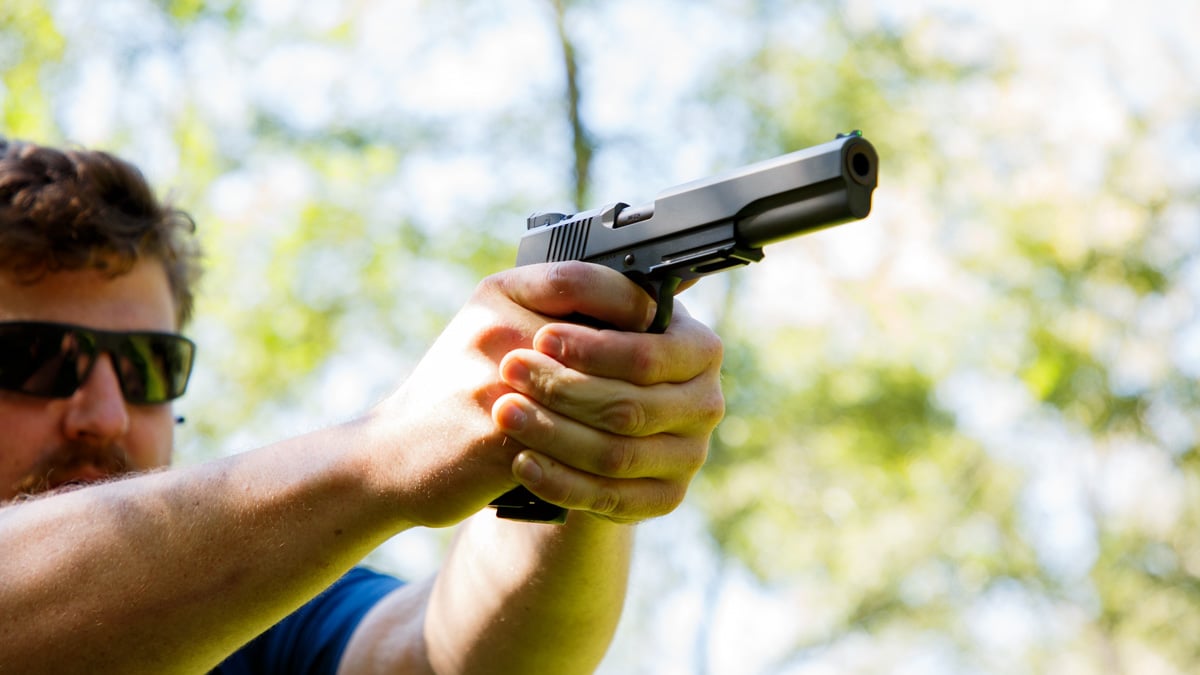 Dan Wesson Kodiak