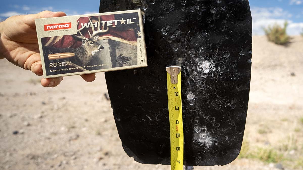 measuring group on steel silhouette target