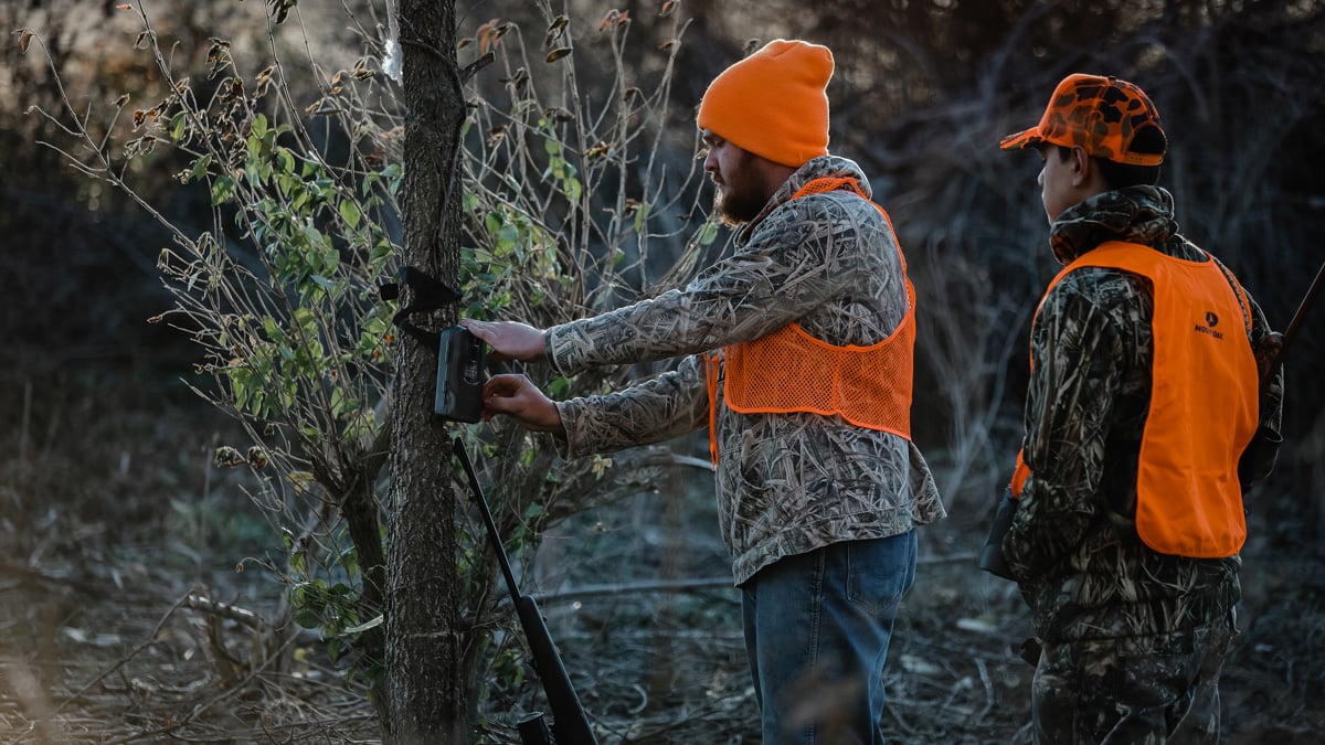 hunters placing trail cam on tree