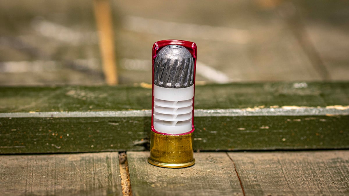 Shotgun Slug