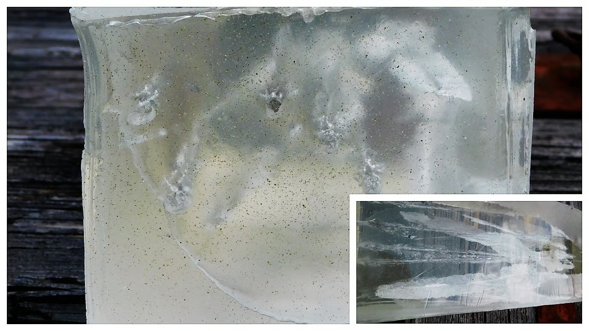 ballistics gel after its been shot by the db15