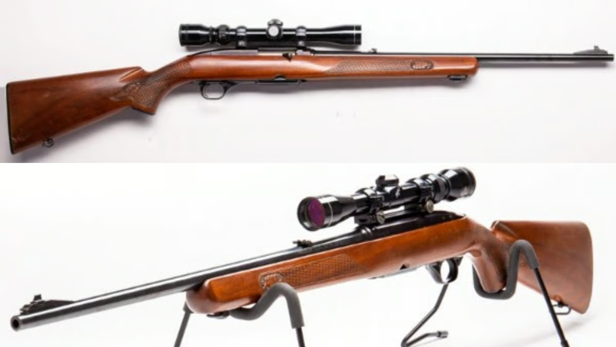 winchester model 100