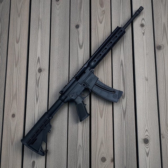 SMITH & WESSON M&P 15-22