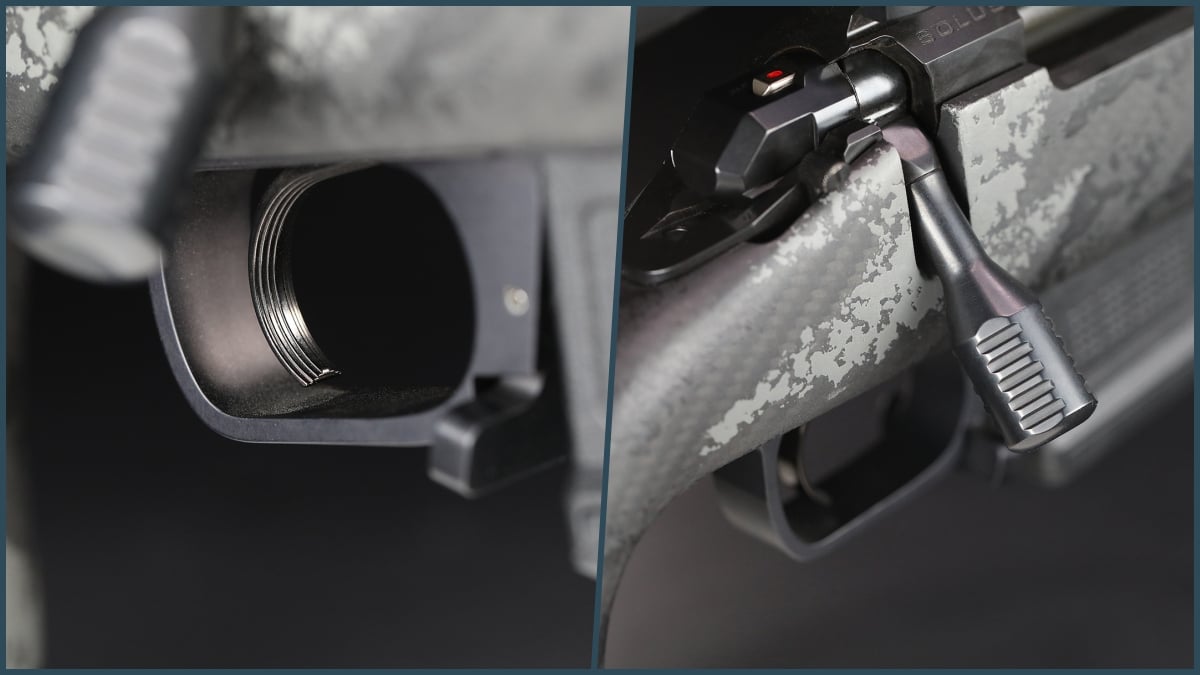 trigger and bolt handle