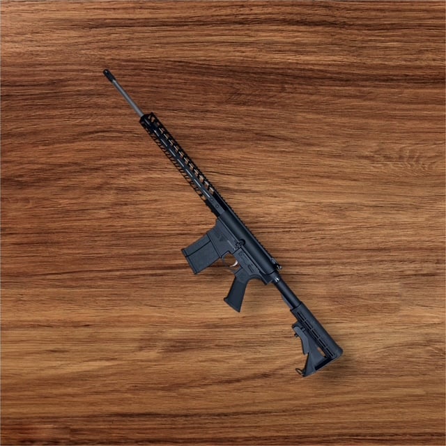 DPMS DR-10