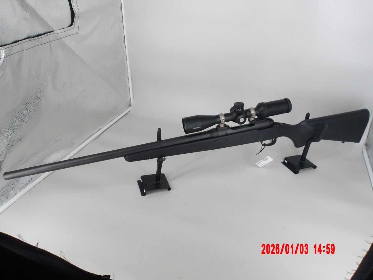 SAVAGE ARMS 10
