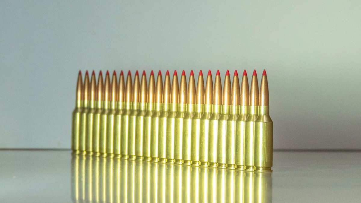 .22 ARC cartridges