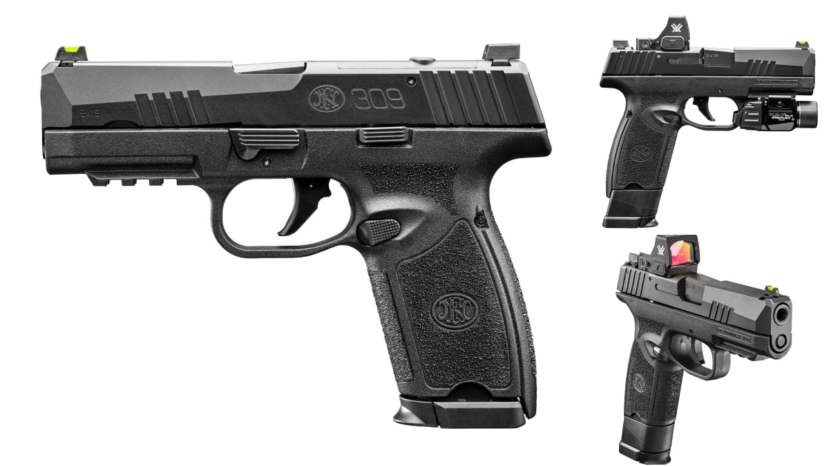 The FN 309