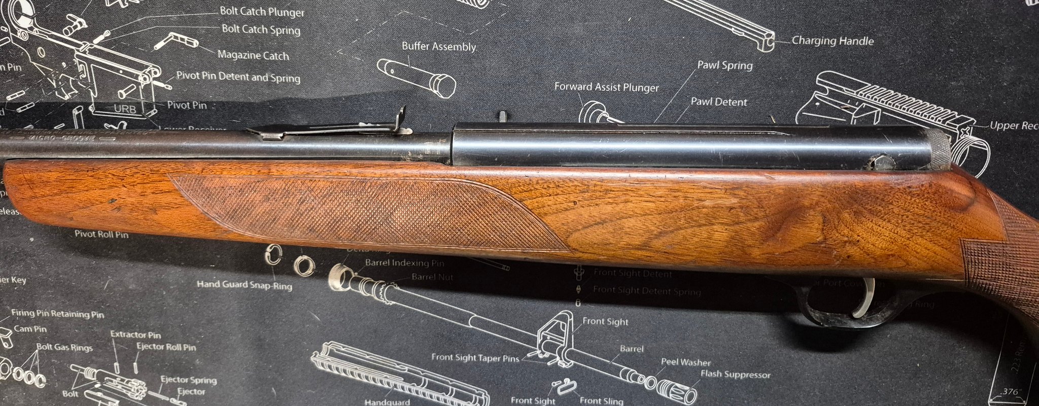 MARLIN 88-22
