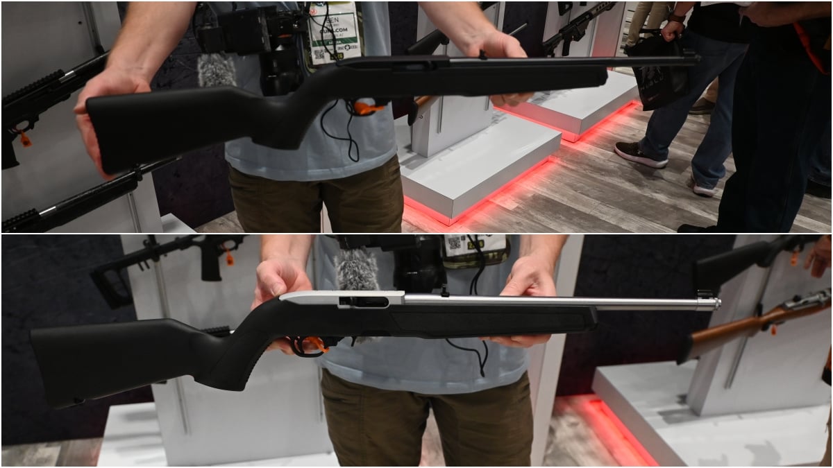 new Ruger 10/22s