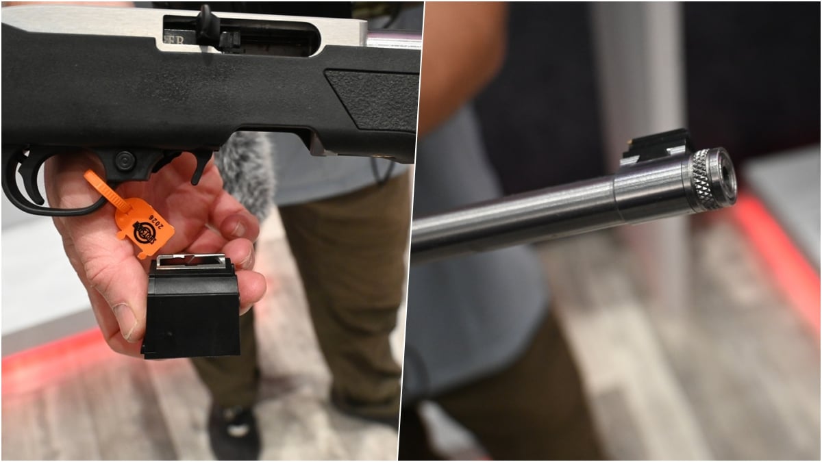 Ruger 10/22s