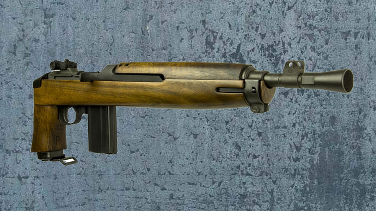 Inland M1 Carbine Advisor