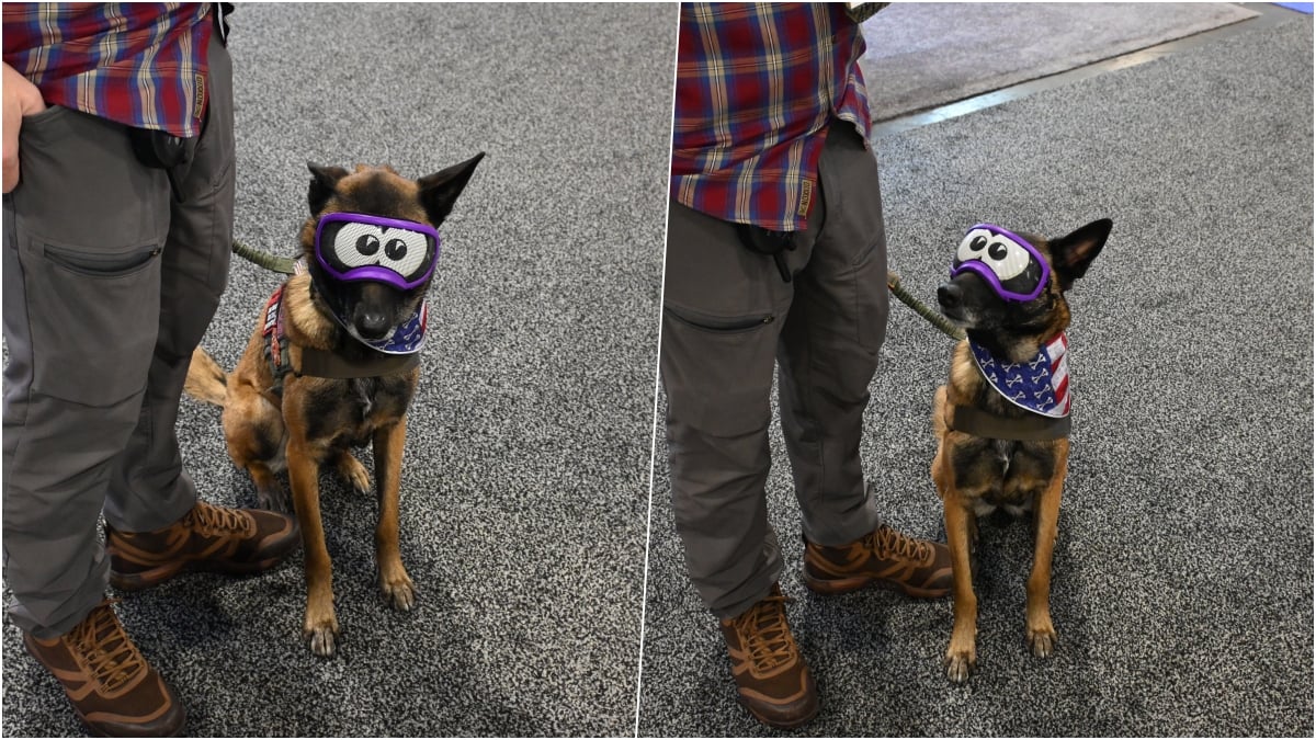 SHOT Show dog
