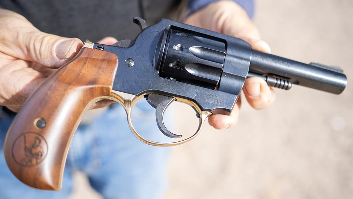 Henry Golden Boy .22 LR 10-Shot Revolver