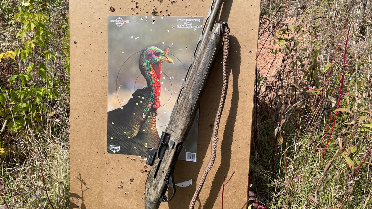 Stoeger M3000 Turkey with target