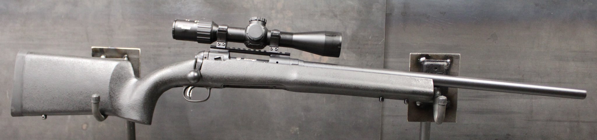 SAVAGE ARMS 10