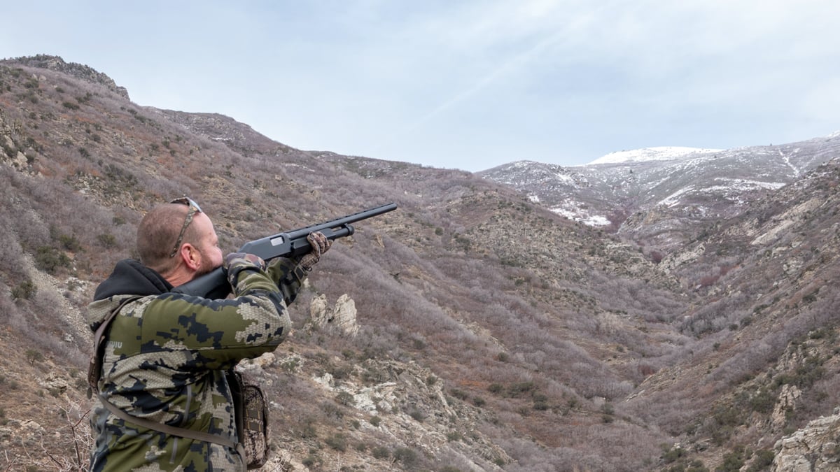 shooting Stevens 320 Field Grade Combo