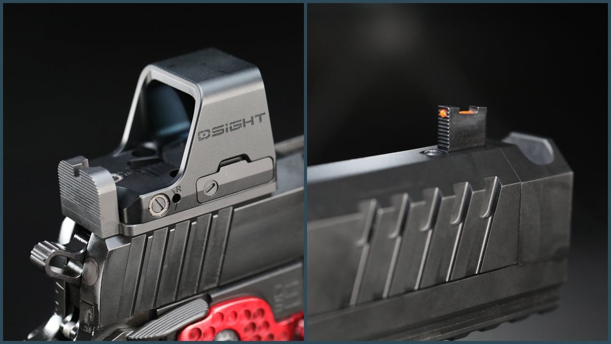 sights on MPA DS9-TC Hybrid