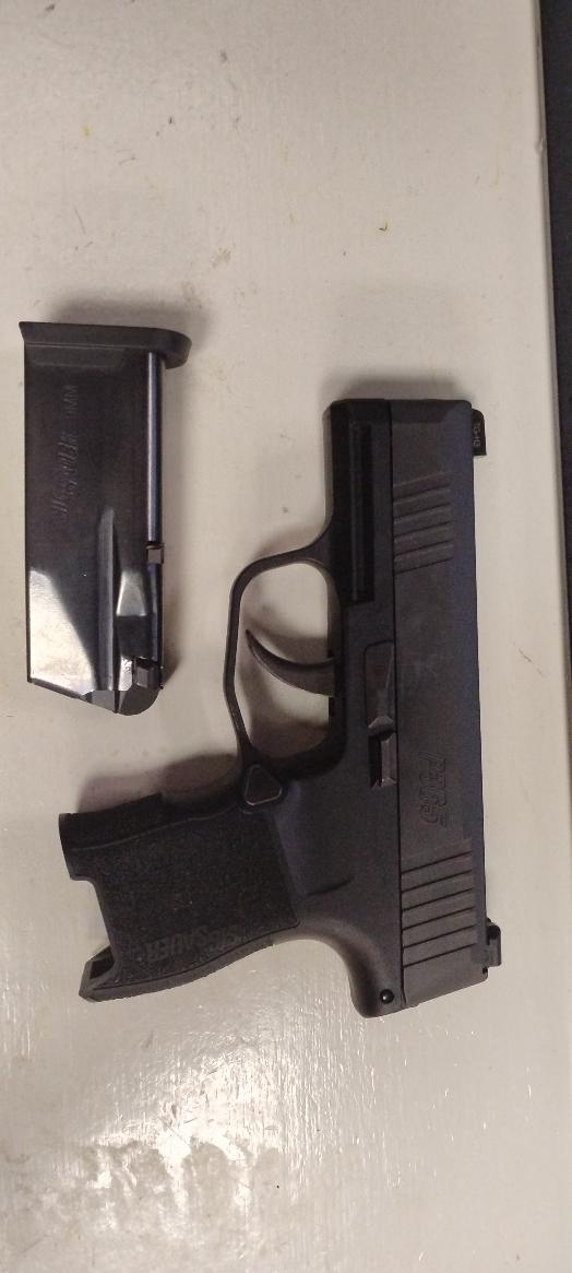 SIG SAUER P365