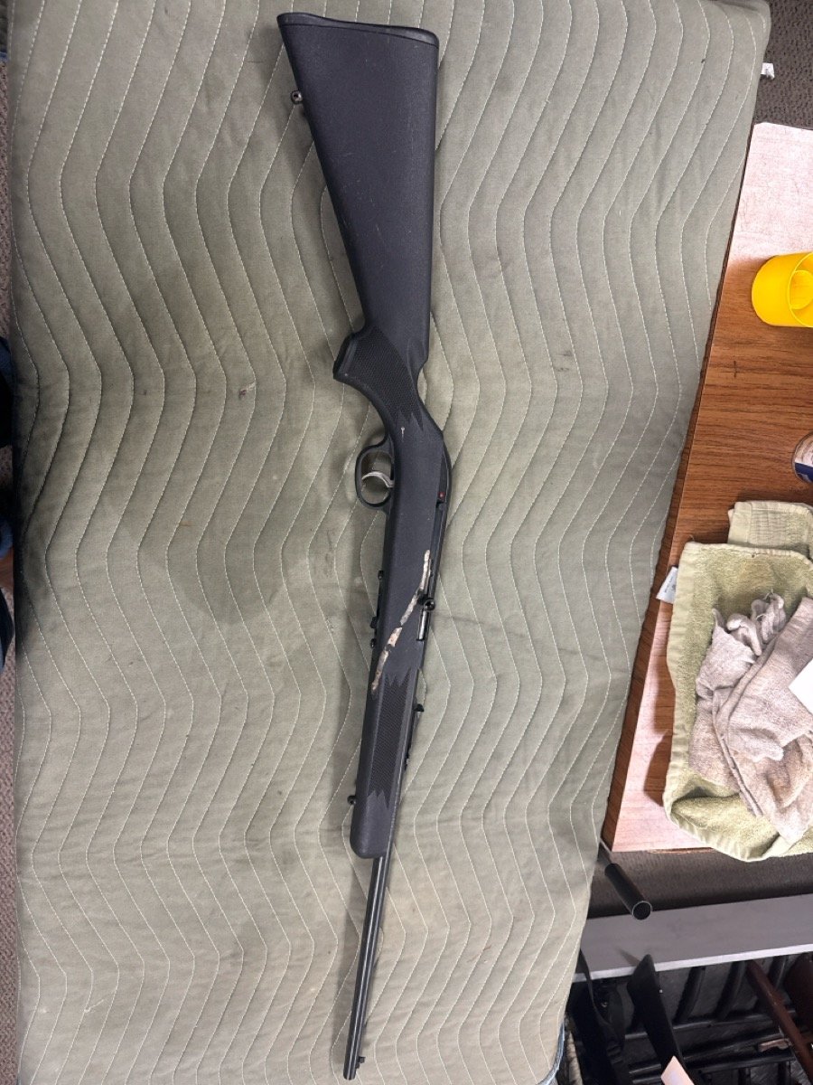SAVAGE ARMS 62