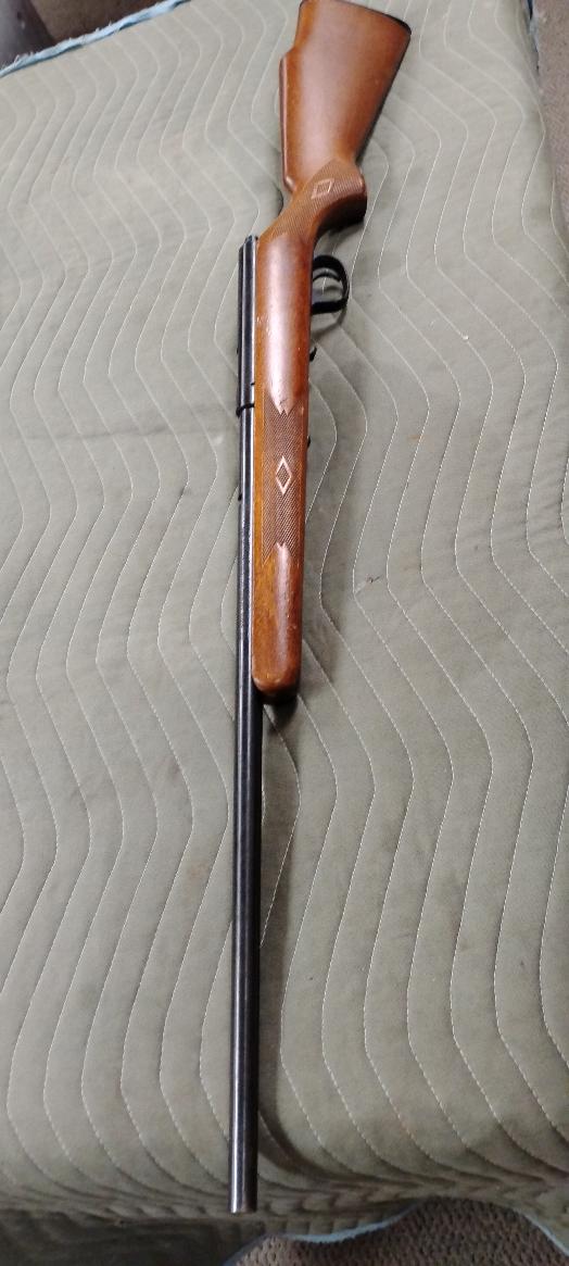 MARLIN 25N