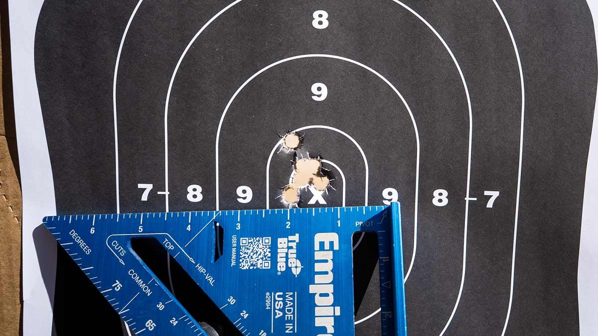 target with six-shot group