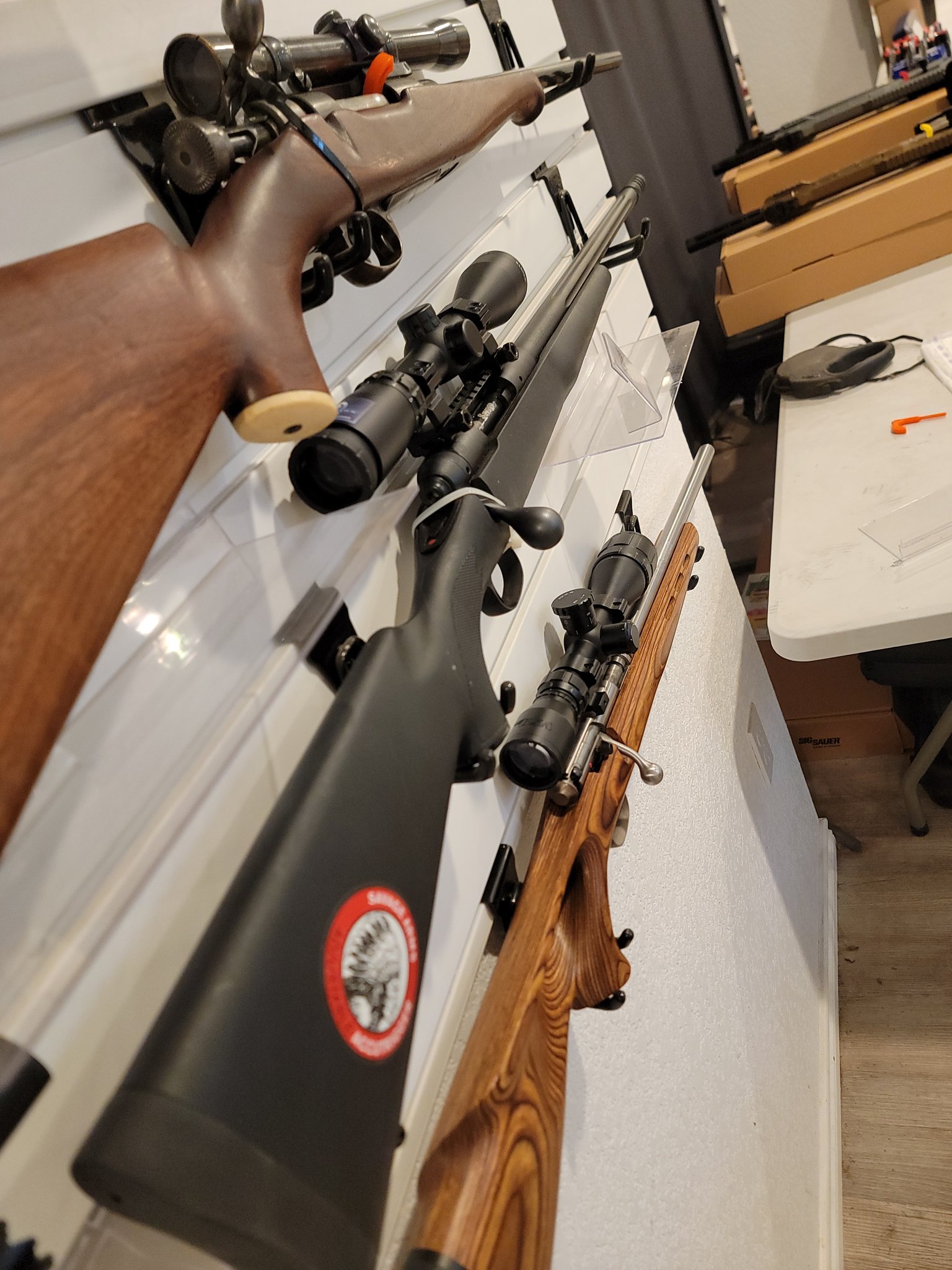 SAVAGE ARMS 10