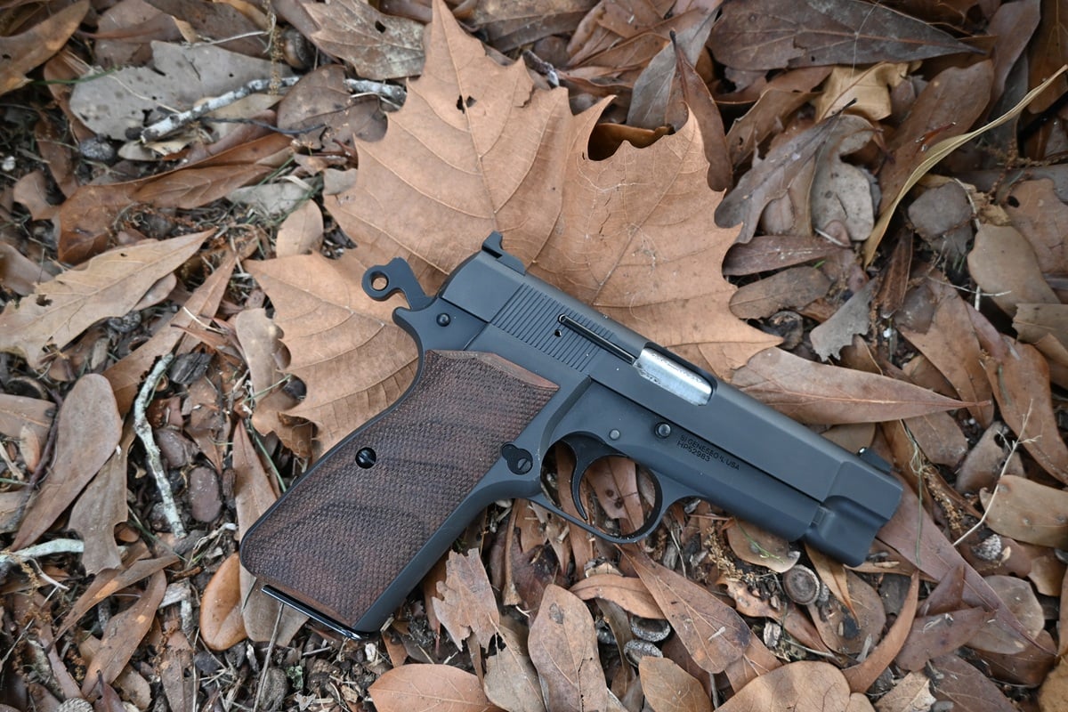Springfield Armory SA-35 4-inch