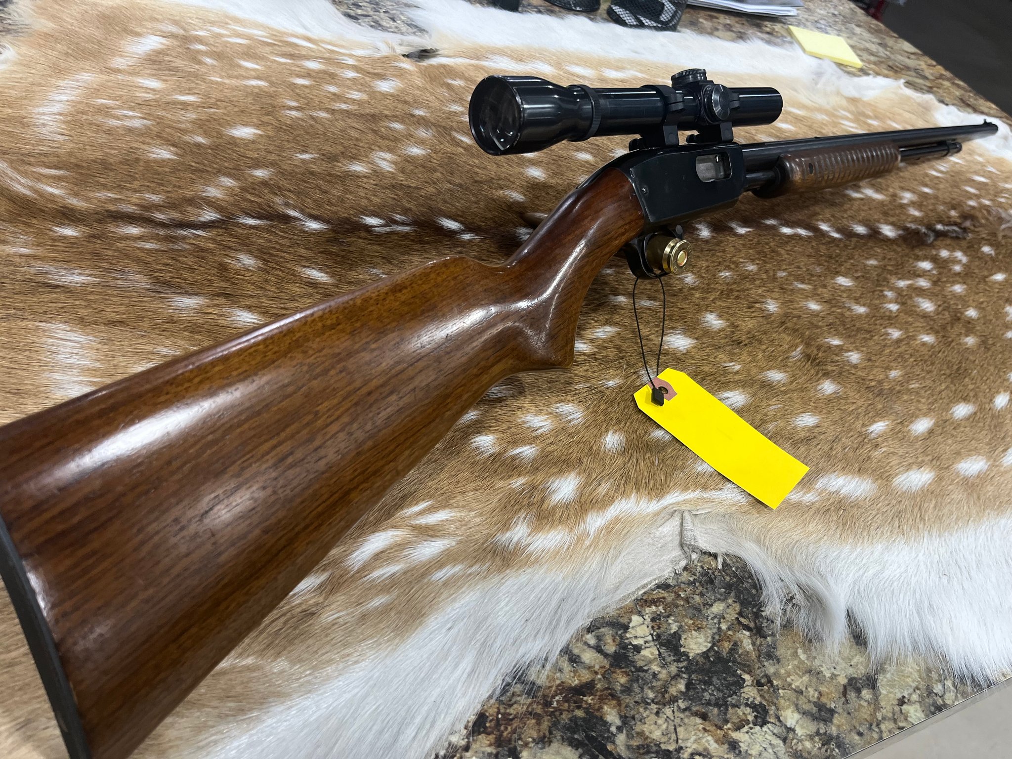 WINCHESTER 61