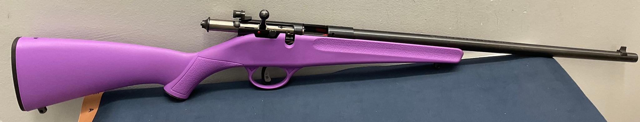 SAVAGE ARMS RASCAL PURPLE .22 lr