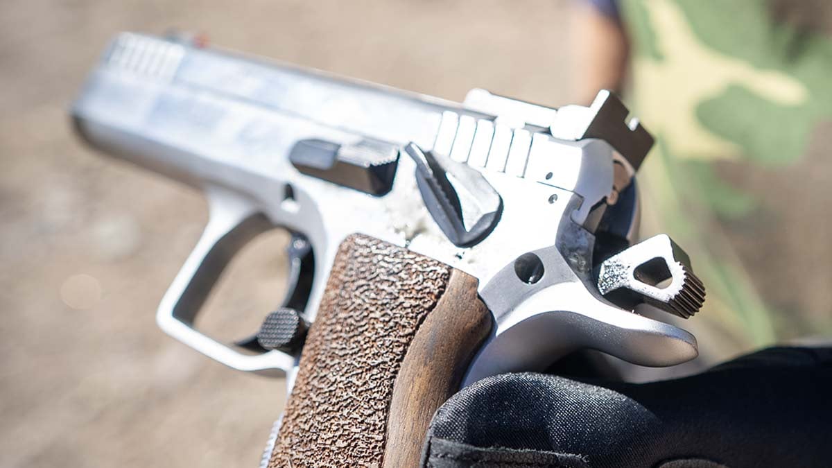 EAA Witness Stock II
