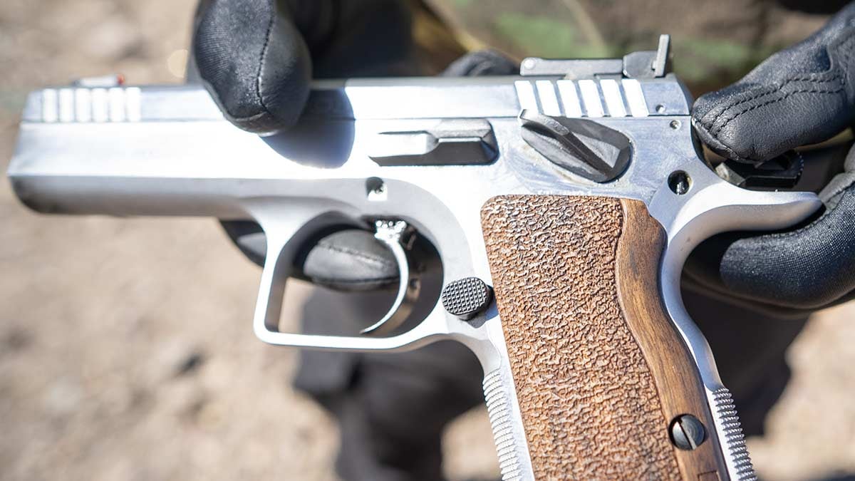 EAA Witness Stock II