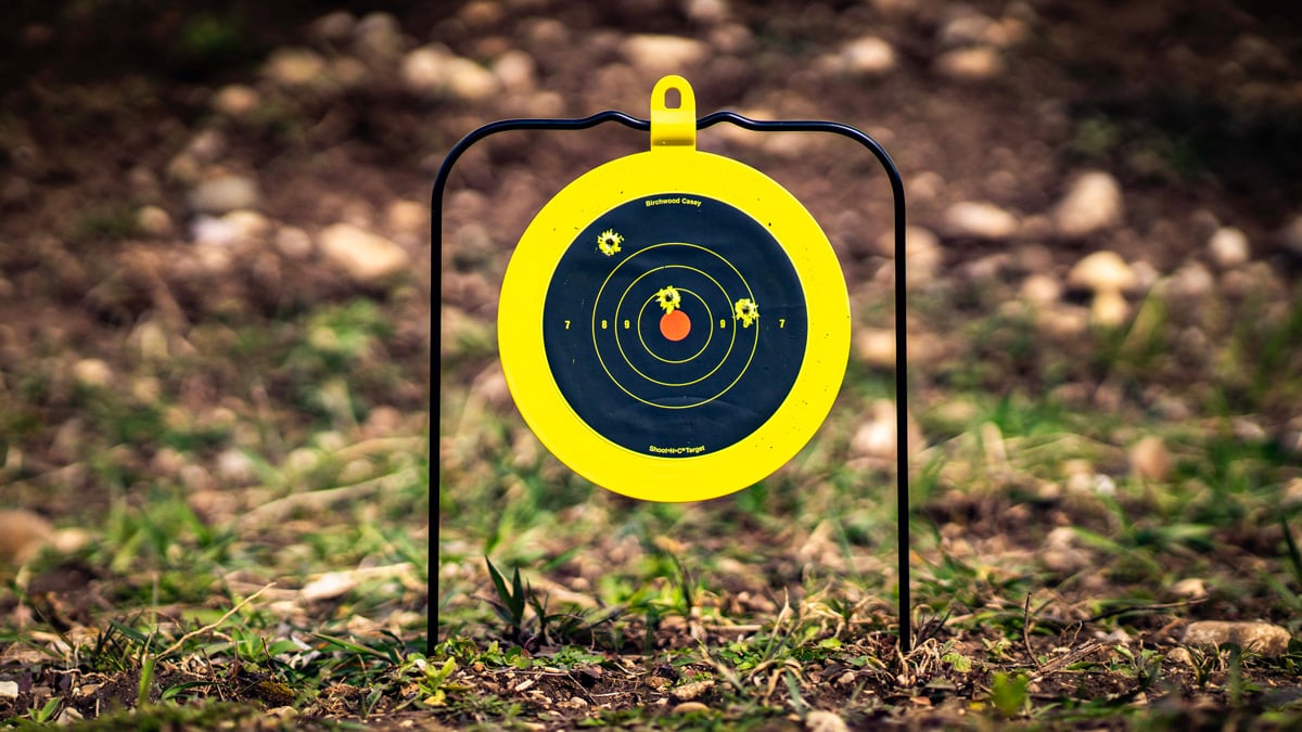 Birchwood Casey Targets