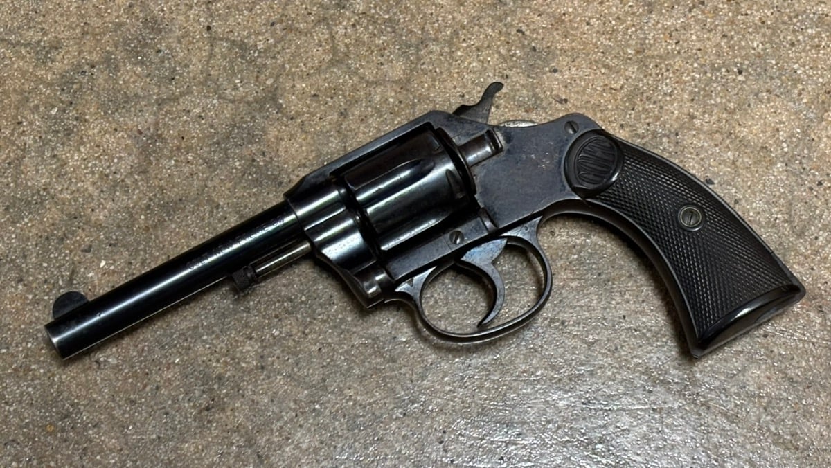 COLT NEW POLICE