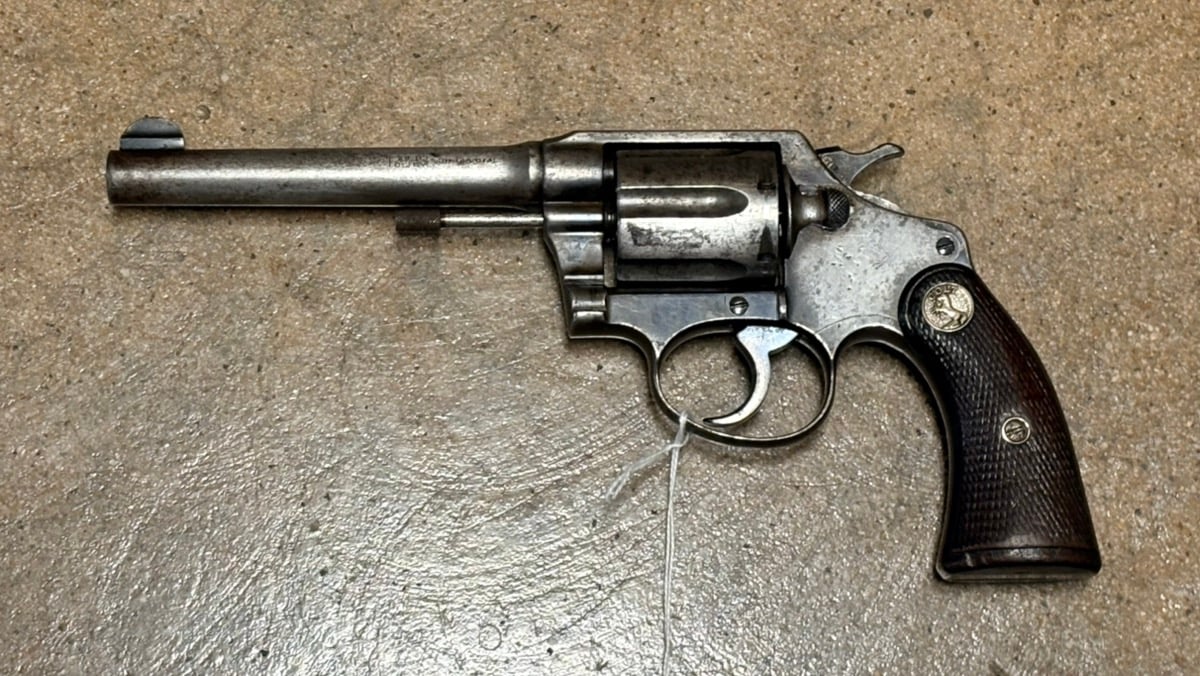 COLT POLICE POSITIVE