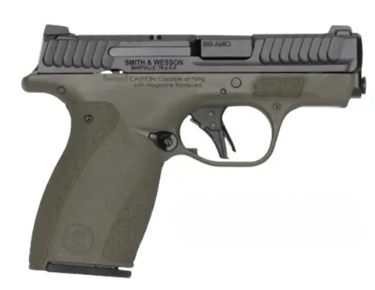 M&P Bodyguard 2.0 380ACP 2.75 NTS ODG 10/12 IVS