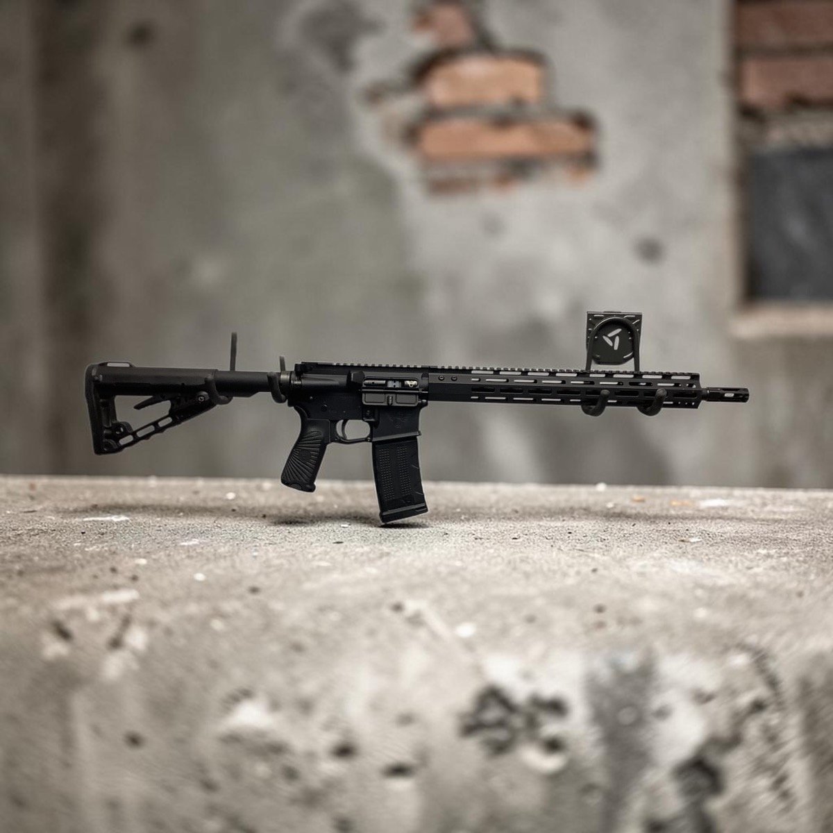 WILSON COMBAT PROTECTOR RIFLE