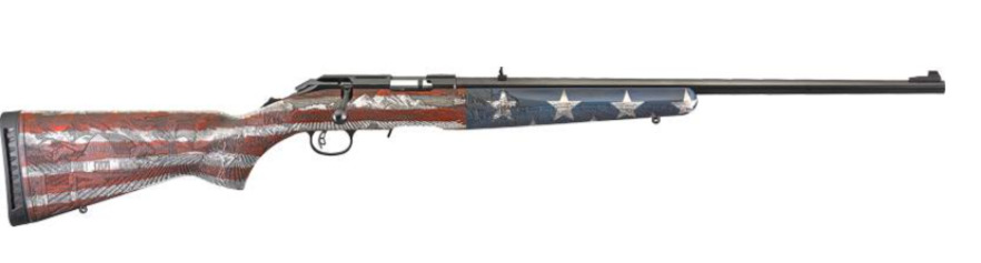 RUGER Amercan